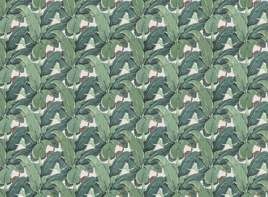 Green Tropical Garden Wallpaper