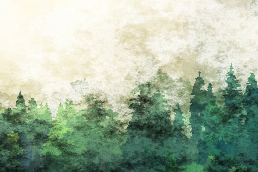 Artistic Forest Wallpaper Murals