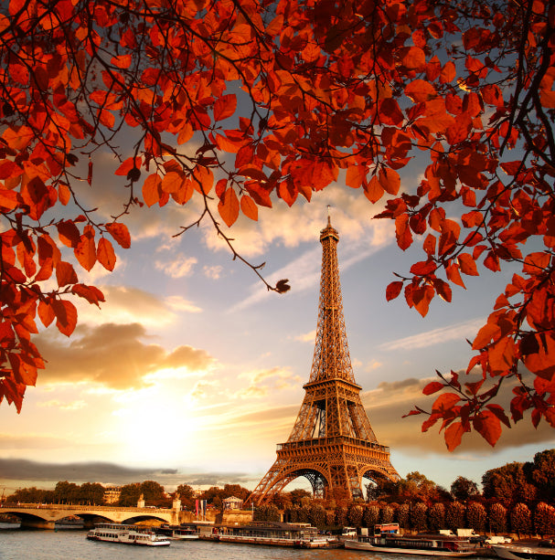 Eiffel Tower Autumn Leaves Wallpaper Mural