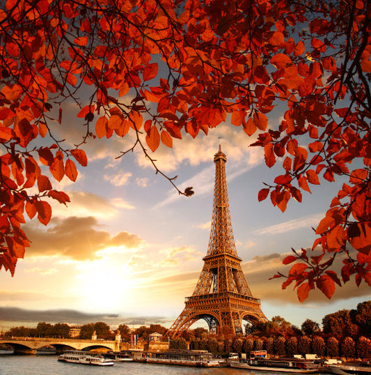 Eiffel Tower Autumn Leaves Wallpaper Mural