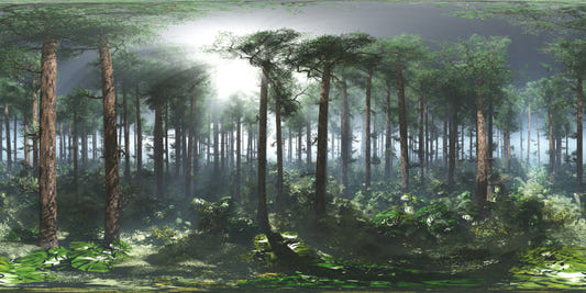 Tropical Foggy Forest Wallpaper Murals