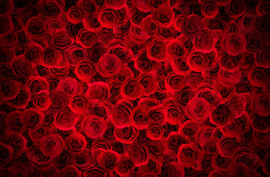 Stunning Bright Red Roses Wallpaper
