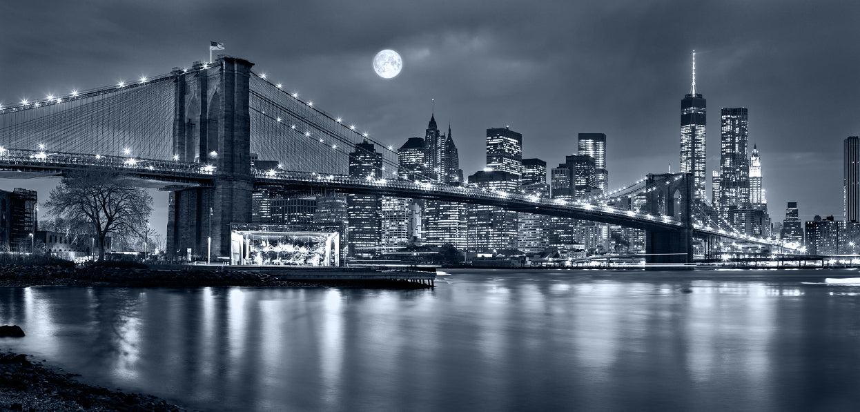 Night View New York City Peel And Stick Mural