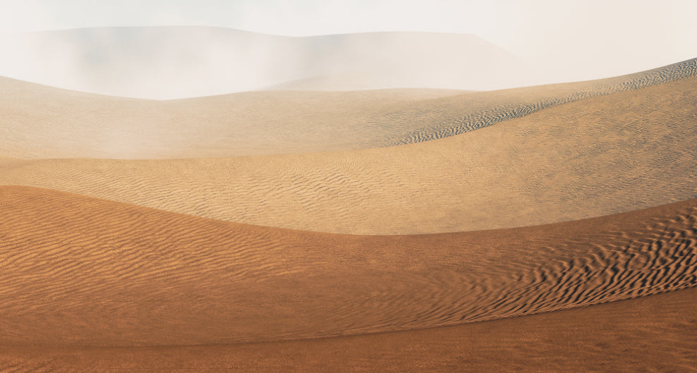 Sandstorm Brown Peel and Stick Wall Murals
