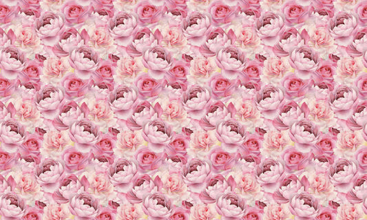 Pink Rose Watercolor Wallpaper
