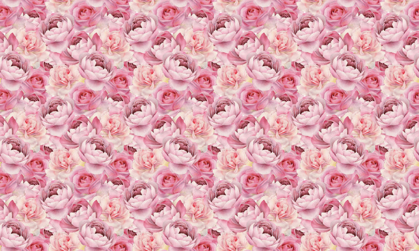 Pink Rose Watercolor Wallpaper