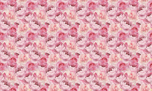 Pink Rose Watercolor Wallpaper