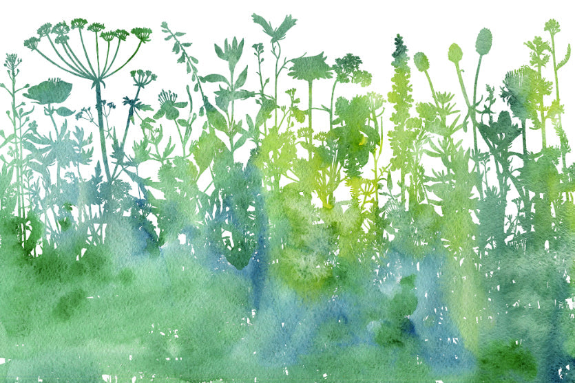 Enchanting Watercolor Grass Trees Wallpaper in your room — zoomed