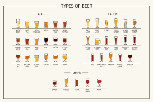 Beer Types Wall Mural