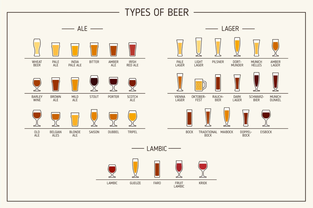 Beer Types Wall Mural in your room — zoomed