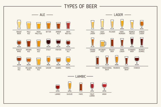 Beer Types Wall Mural