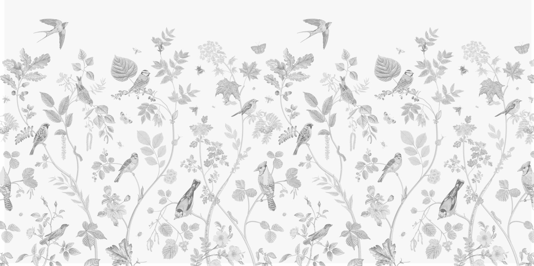 Garden Birds Wallpaper