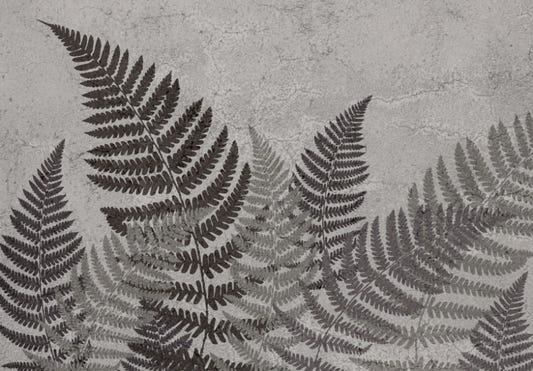 Tropical Fern Wall Mural