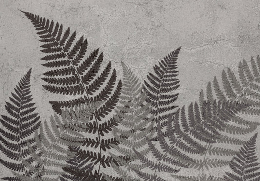 Tropical Fern Wall Mural