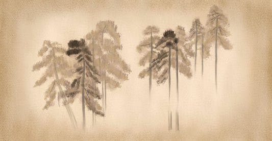 Pine Trees Wall Mural