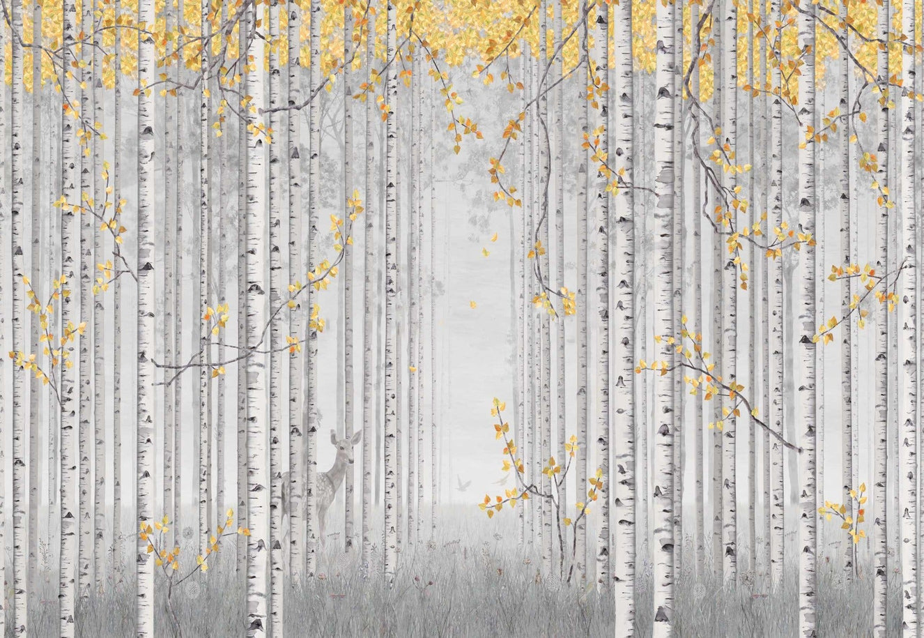 Yellow Leaves and Gray Birch Trees Wall Mural