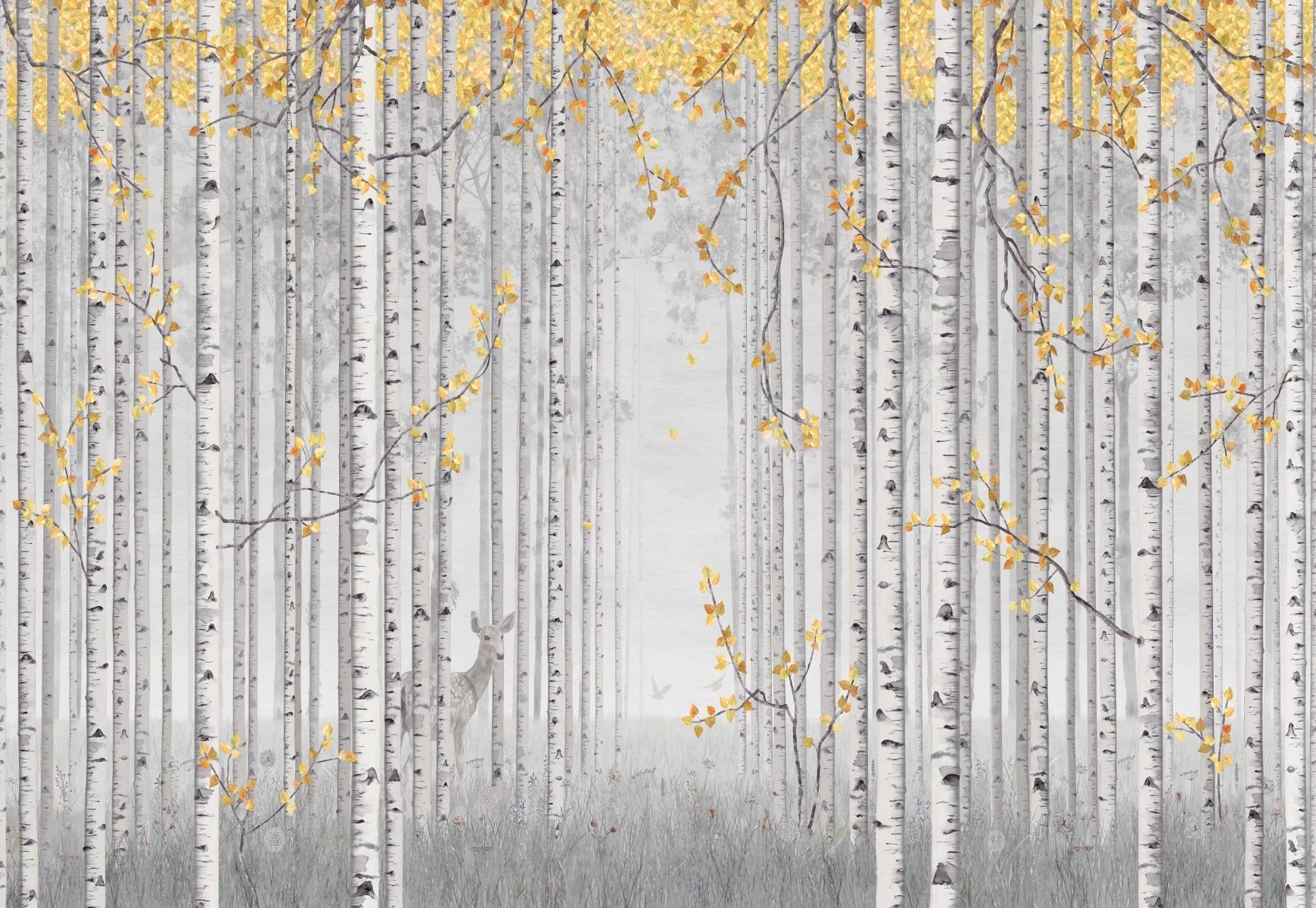 Yellow Leaves and Gray Birch Trees Wall Mural