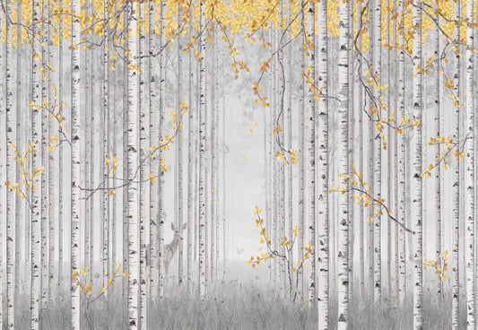 Yellow Leaves and Gray Birch Trees Wall Mural