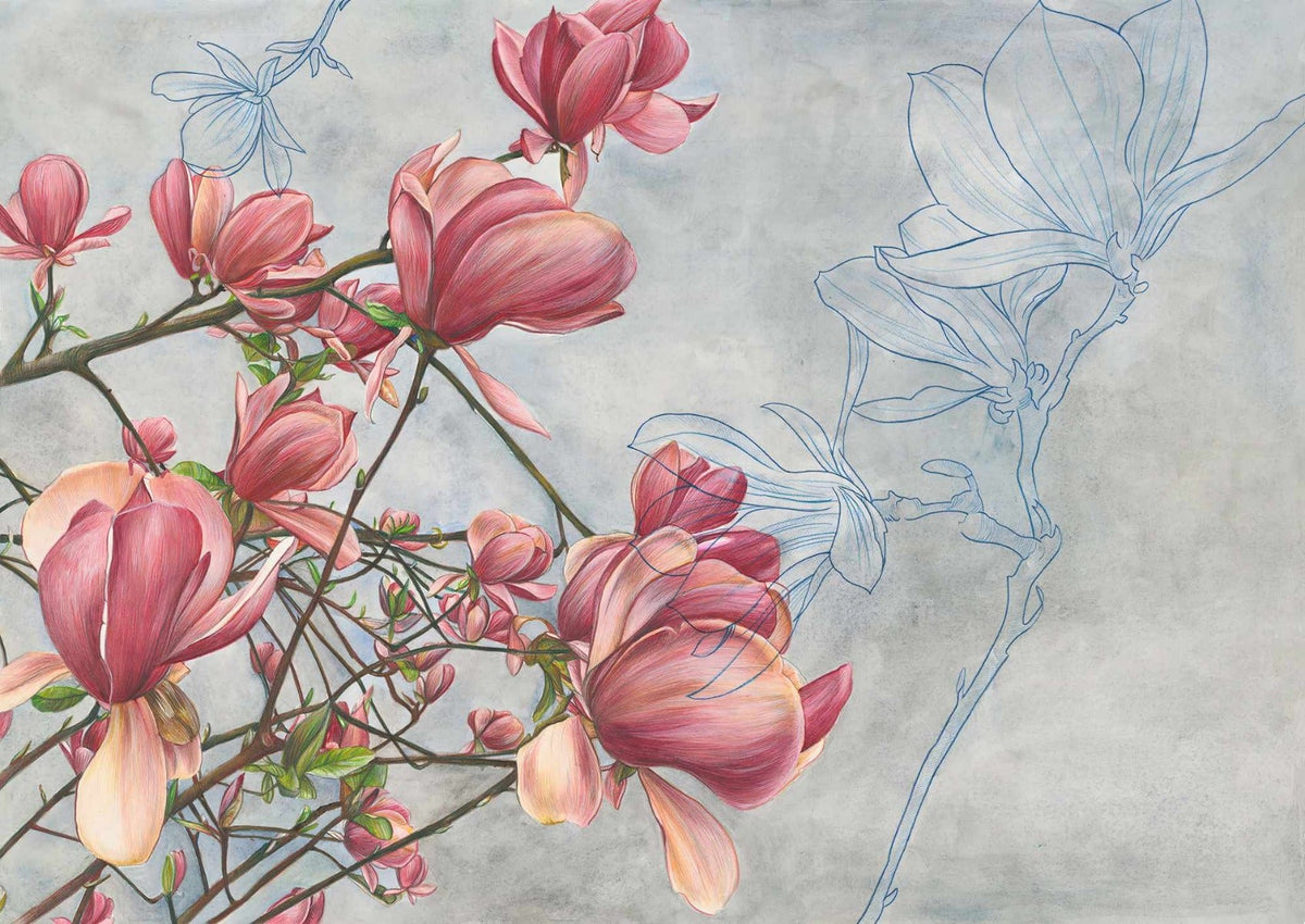 Blossoming Beauty Magnolia Wall Mural in your room — zoomed