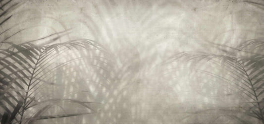 Neutral Palm Shadow Wallpaper