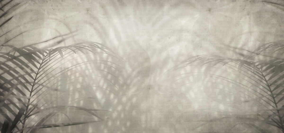 Neutral Palm Shadow Wallpaper