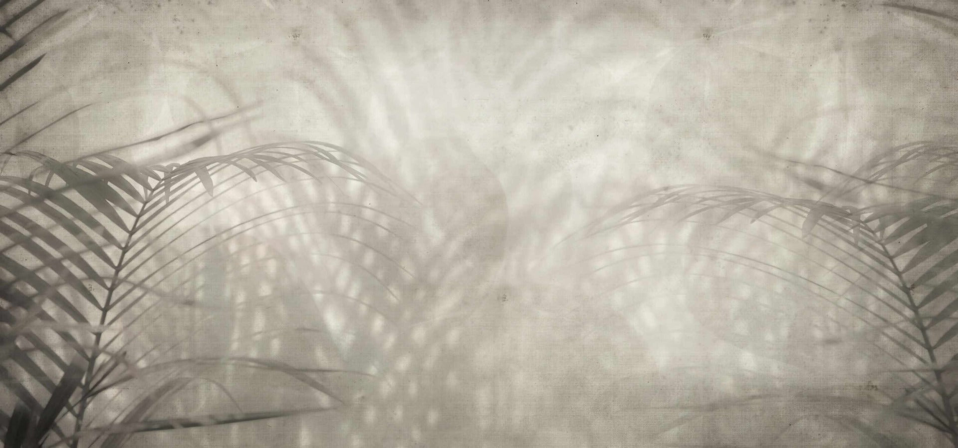 Neutral Palm Shadow Wallpaper