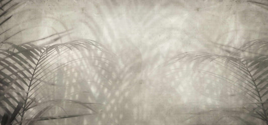 Neutral Palm Shadow Wallpaper