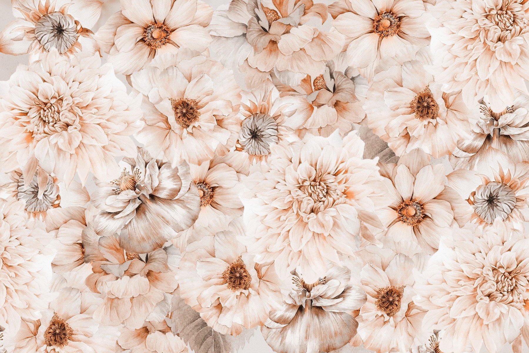 Soft Blossom Aesthetic Flower Wallpaper