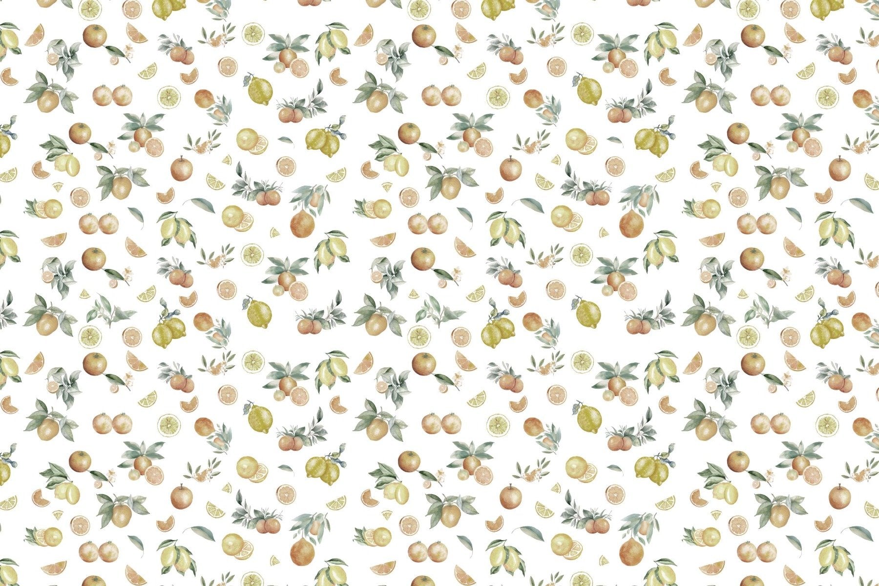 Summer Citrus Medley Wallpaper Mural