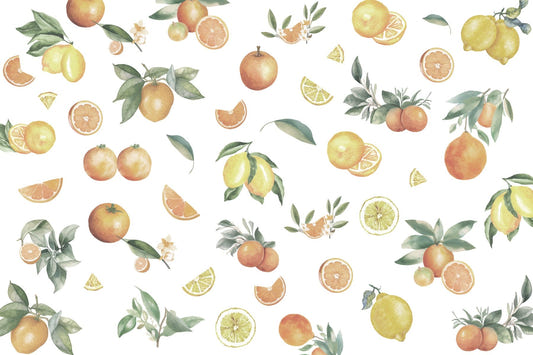 Citrus Melange Paradise Wallpaper
