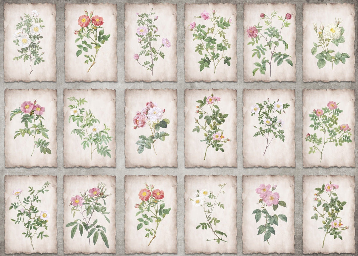 Heritage Botanicals Framed Wall Mural in your room — zoomed
