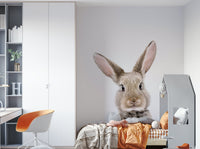 Soft bunny wallpaper for walls

