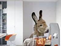 Warm and inviting donkey mural wallpaper
 GD732
