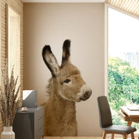 Cute baby donkey wallpaper for nursery walls GD732

