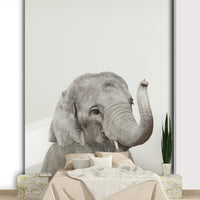 Playful young elephant image GD290


