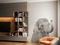 Elephant calf photo white bg GD290

