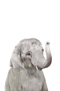 Friendly baby elephant picture GD290

