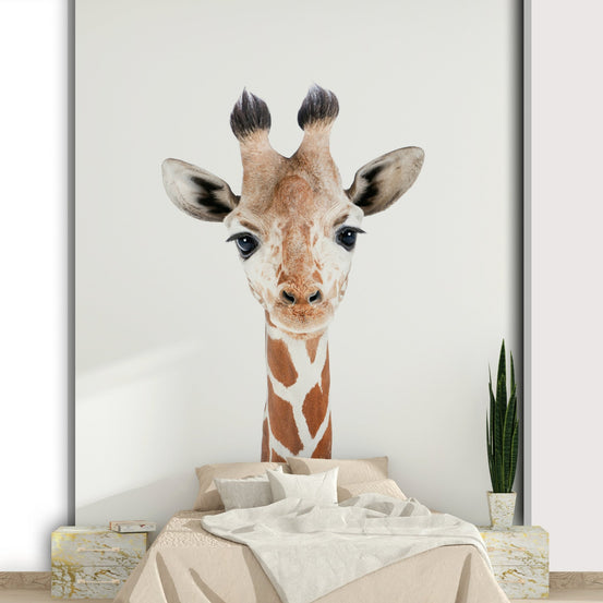 Baby Giraffe Wall Mural GD735
