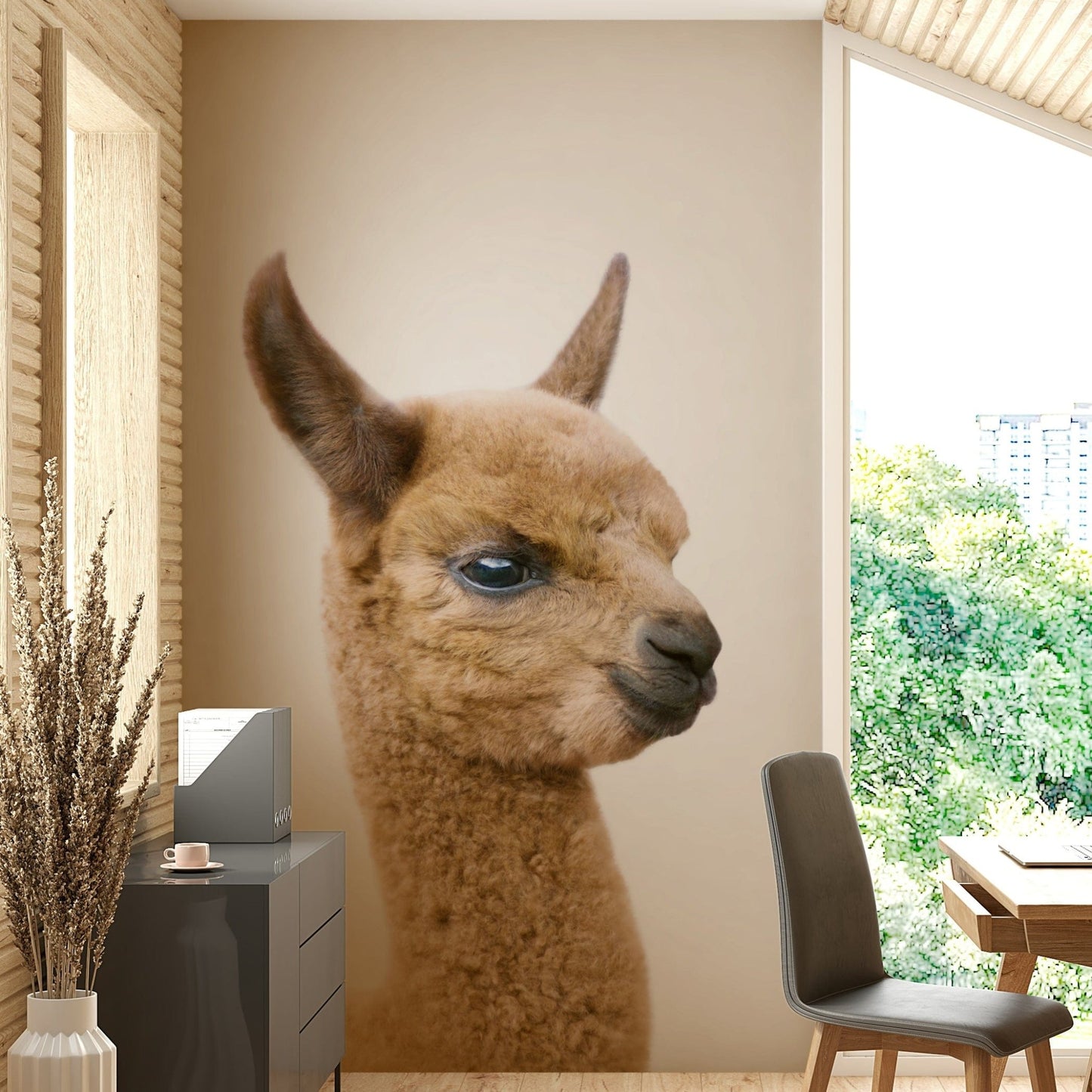 Sweet alpaca-like baby llama image

