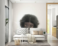 Happy infant monkey on white bg


