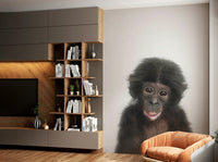 Smiling monkey baby with big eyes

