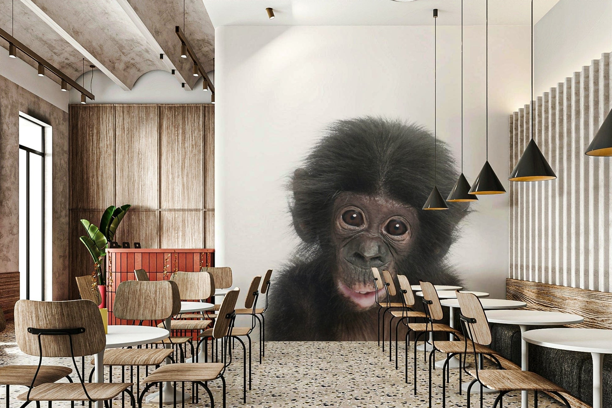 Baby chimpanzee face photo

