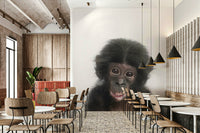 Baby chimpanzee face photo

