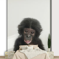 Funny baby monkey animal photo

