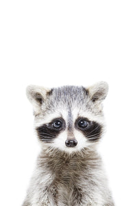 Cute animal mural with baby raccoon in forest setting

