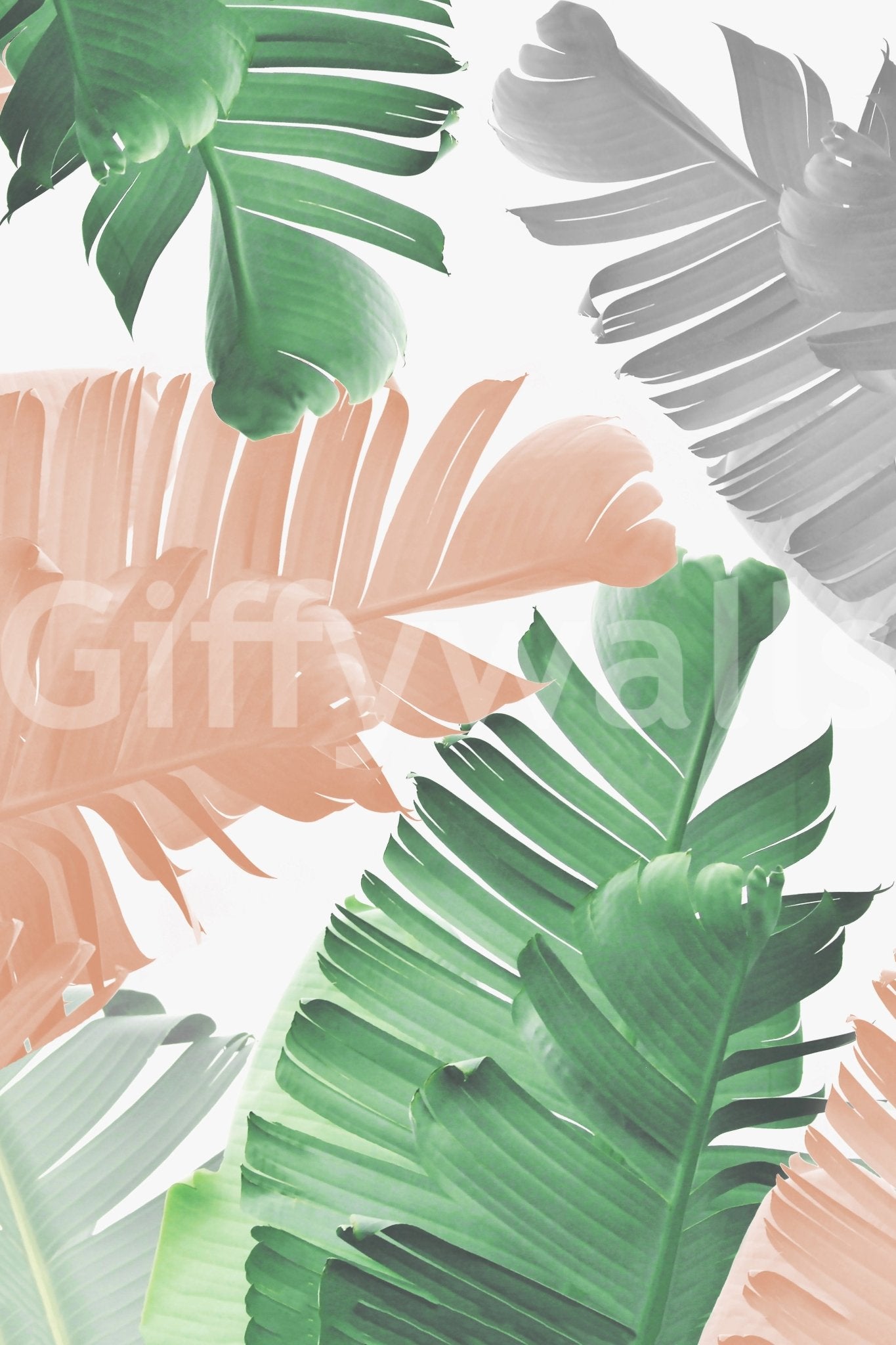 Large green banana leaves on wallpaper in a playroom

