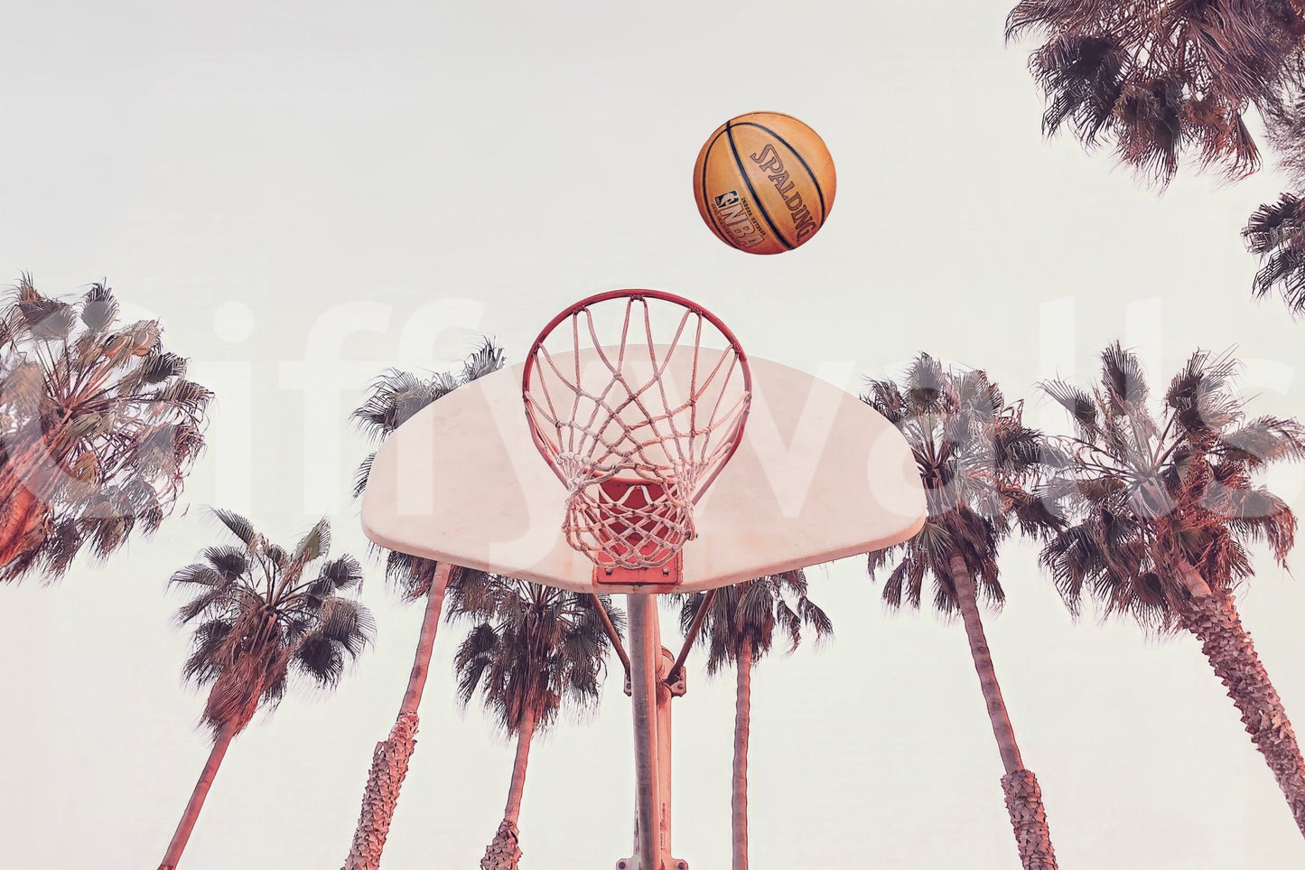 Wall mural with bold sports style

