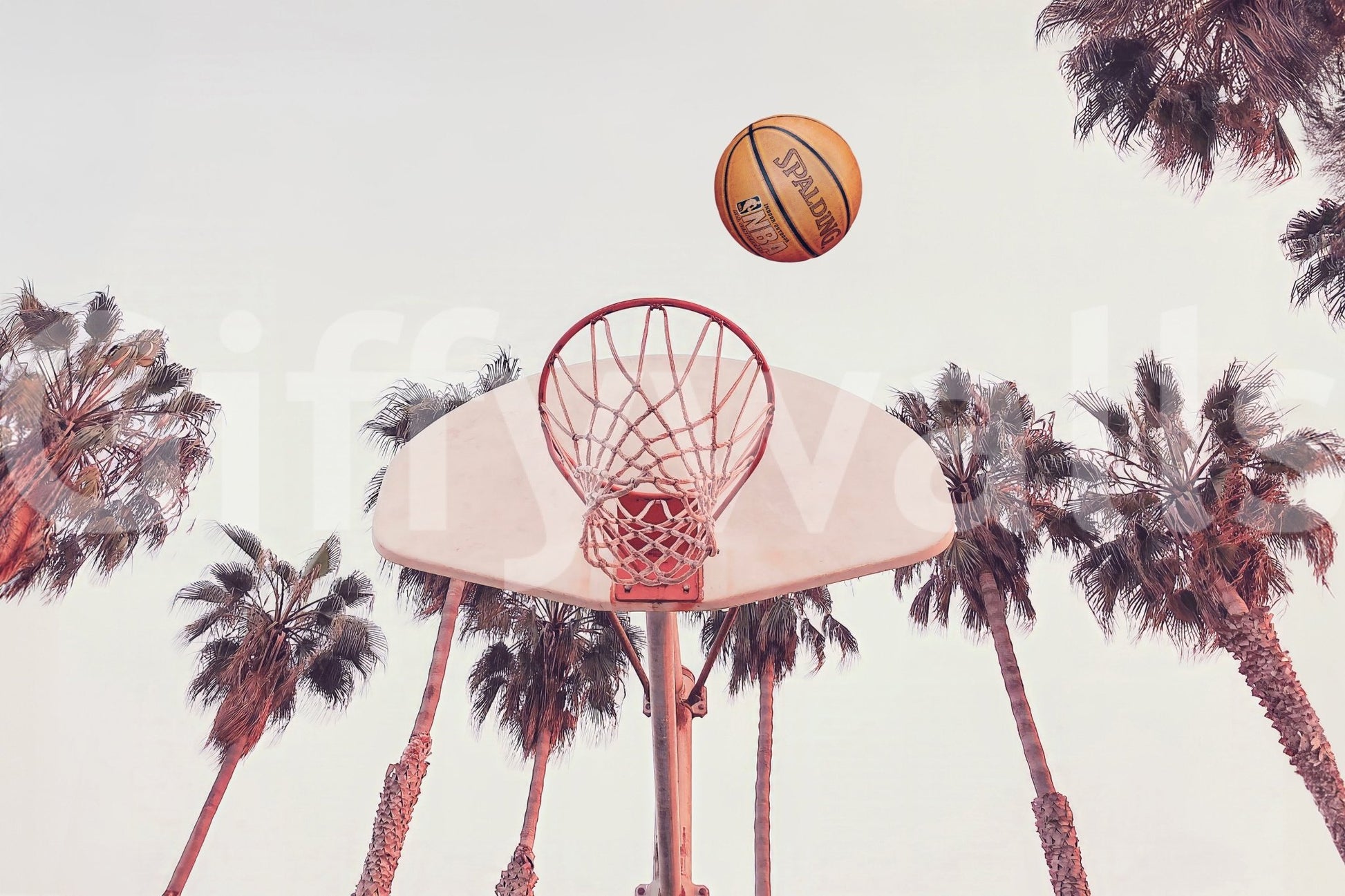 Wall mural with bold sports style

