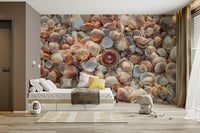 Tropical beach treasures mural with vibrant shells.

