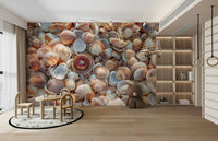 Beautiful wall mural featuring seashells and beach sand.

